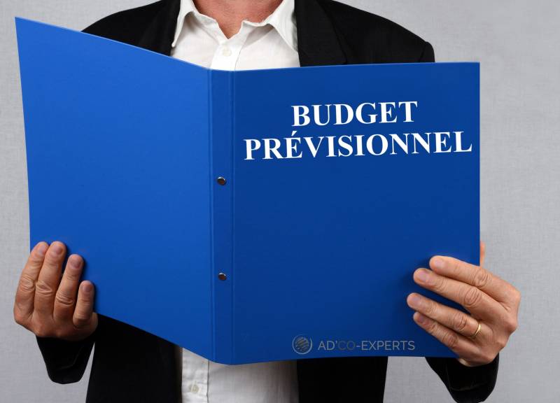 Budget prévisionnel